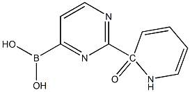 2-(1H-PYRIDIN-2-ONE)PYRIMIDINE-4-BORONIC ACID Structure