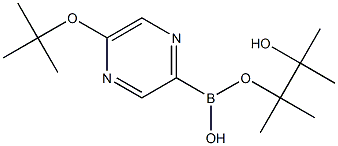 5-(TERT-BUTOXY)PYRAZINE-2-BORONIC ACID PINACOL ESTER 구조식 이미지