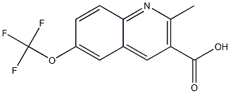 2-methyl-6-(trifluoromethoxy)quinoline-3-carboxylic acid Structure