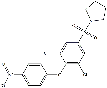 1-{[3,5-dichloro-4-(4-nitrophenoxy)phenyl]sulfonyl}pyrrolidine 구조식 이미지