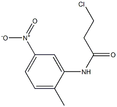 3-chloro-N-(2-methyl-5-nitrophenyl)propanamide Structure