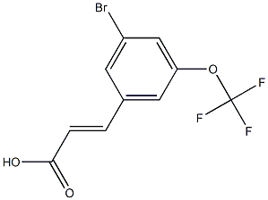 (E)-3-(3-bromo-5-(trifluoromethoxy)phenyl)acrylic acid Structure