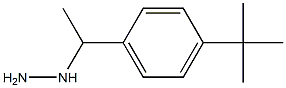 1-(1-(4-tert-butylphenyl)ethyl)hydrazine 구조식 이미지