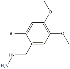 1-(2-bromo-4,5-dimethoxybenzyl)hydrazine Structure