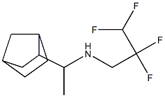 (1-{bicyclo[2.2.1]heptan-2-yl}ethyl)(2,2,3,3-tetrafluoropropyl)amine Structure