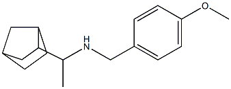 (1-{bicyclo[2.2.1]heptan-2-yl}ethyl)[(4-methoxyphenyl)methyl]amine 구조식 이미지