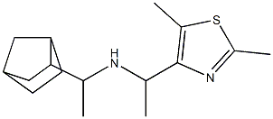 (1-{bicyclo[2.2.1]heptan-2-yl}ethyl)[1-(2,5-dimethyl-1,3-thiazol-4-yl)ethyl]amine Structure