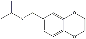 (2,3-dihydro-1,4-benzodioxin-6-ylmethyl)(propan-2-yl)amine Structure