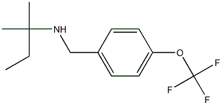(2-methylbutan-2-yl)({[4-(trifluoromethoxy)phenyl]methyl})amine Structure