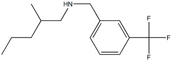 (2-methylpentyl)({[3-(trifluoromethyl)phenyl]methyl})amine Structure
