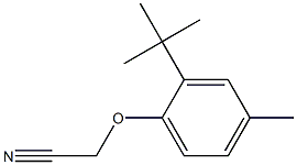 (2-tert-butyl-4-methylphenoxy)acetonitrile Structure