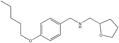 (oxolan-2-ylmethyl)({[4-(pentyloxy)phenyl]methyl})amine 구조식 이미지