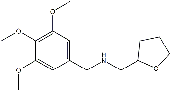 (oxolan-2-ylmethyl)[(3,4,5-trimethoxyphenyl)methyl]amine Structure