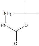 (tert-butoxy)carbohydrazide 구조식 이미지