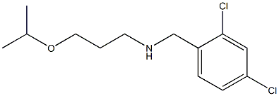 [(2,4-dichlorophenyl)methyl][3-(propan-2-yloxy)propyl]amine 구조식 이미지