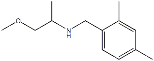 [(2,4-dimethylphenyl)methyl](1-methoxypropan-2-yl)amine 구조식 이미지