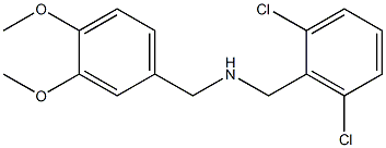 [(2,6-dichlorophenyl)methyl][(3,4-dimethoxyphenyl)methyl]amine Structure