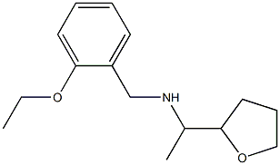 [(2-ethoxyphenyl)methyl][1-(oxolan-2-yl)ethyl]amine Structure