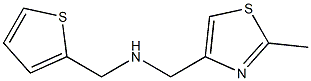 [(2-methyl-1,3-thiazol-4-yl)methyl](thiophen-2-ylmethyl)amine Structure