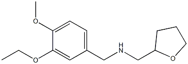 [(3-ethoxy-4-methoxyphenyl)methyl](oxolan-2-ylmethyl)amine 구조식 이미지