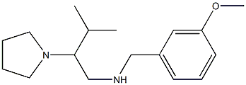 [(3-methoxyphenyl)methyl][3-methyl-2-(pyrrolidin-1-yl)butyl]amine 구조식 이미지