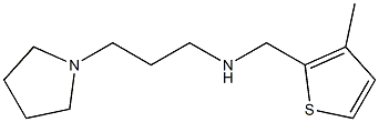 [(3-methylthiophen-2-yl)methyl][3-(pyrrolidin-1-yl)propyl]amine Structure