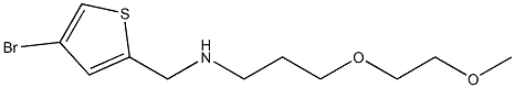 [(4-bromothiophen-2-yl)methyl][3-(2-methoxyethoxy)propyl]amine Structure