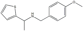 [(4-methoxyphenyl)methyl][1-(thiophen-2-yl)ethyl]amine Structure
