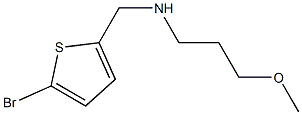 [(5-bromothiophen-2-yl)methyl](3-methoxypropyl)amine Structure