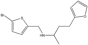 [(5-bromothiophen-2-yl)methyl][4-(furan-2-yl)butan-2-yl]amine 구조식 이미지