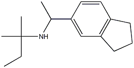 [1-(2,3-dihydro-1H-inden-5-yl)ethyl](2-methylbutan-2-yl)amine Structure