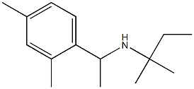 [1-(2,4-dimethylphenyl)ethyl](2-methylbutan-2-yl)amine Structure