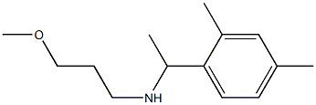 [1-(2,4-dimethylphenyl)ethyl](3-methoxypropyl)amine Structure