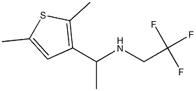 [1-(2,5-dimethylthiophen-3-yl)ethyl](2,2,2-trifluoroethyl)amine 구조식 이미지