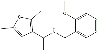 [1-(2,5-dimethylthiophen-3-yl)ethyl][(2-methoxyphenyl)methyl]amine Structure