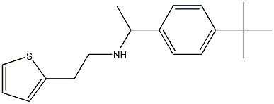 [1-(4-tert-butylphenyl)ethyl][2-(thiophen-2-yl)ethyl]amine 구조식 이미지