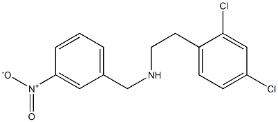 [2-(2,4-dichlorophenyl)ethyl][(3-nitrophenyl)methyl]amine 구조식 이미지