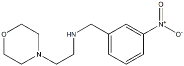 [2-(morpholin-4-yl)ethyl][(3-nitrophenyl)methyl]amine 구조식 이미지