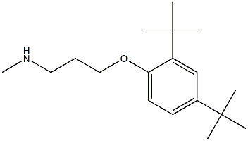 [3-(2,4-di-tert-butylphenoxy)propyl](methyl)amine Structure