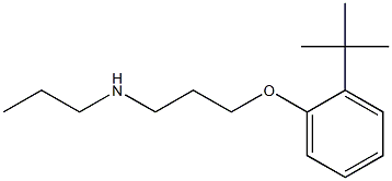 [3-(2-tert-butylphenoxy)propyl](propyl)amine 구조식 이미지