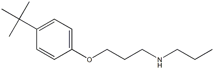 [3-(4-tert-butylphenoxy)propyl](propyl)amine 구조식 이미지