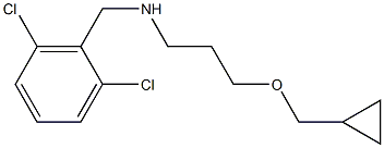 [3-(cyclopropylmethoxy)propyl][(2,6-dichlorophenyl)methyl]amine Structure