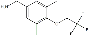 [3,5-dimethyl-4-(2,2,2-trifluoroethoxy)phenyl]methanamine Structure