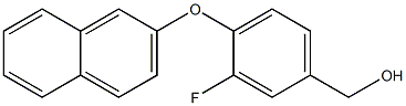 [3-fluoro-4-(naphthalen-2-yloxy)phenyl]methanol 구조식 이미지