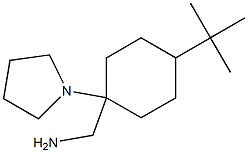 [4-tert-butyl-1-(pyrrolidin-1-yl)cyclohexyl]methanamine 구조식 이미지