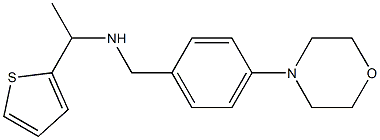 {[4-(morpholin-4-yl)phenyl]methyl}[1-(thiophen-2-yl)ethyl]amine 구조식 이미지