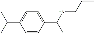 {1-[4-(propan-2-yl)phenyl]ethyl}(propyl)amine 구조식 이미지