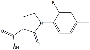 1-(2-fluoro-4-methylphenyl)-2-oxopyrrolidine-3-carboxylic acid Structure