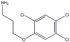 1-(3-aminopropoxy)-2,4,5-trichlorobenzene 구조식 이미지