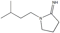 1-(3-methylbutyl)pyrrolidin-2-imine 구조식 이미지